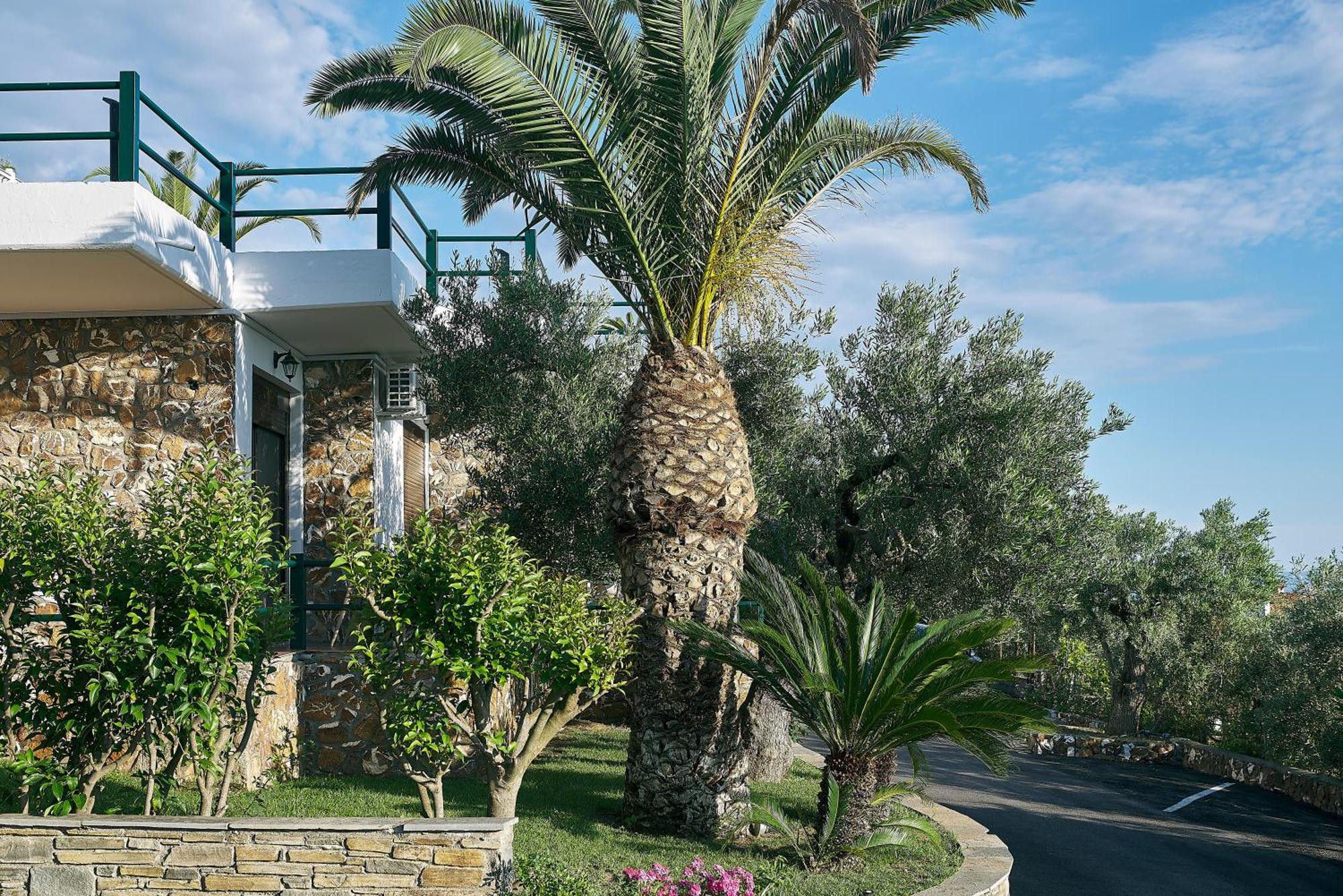 Glavas Inn Hotel Gerakini Exterior foto